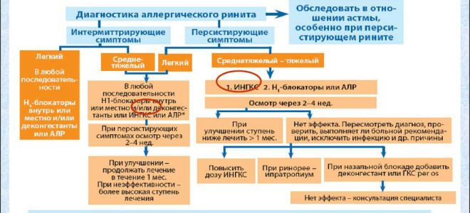 Лечение аллергического ринита