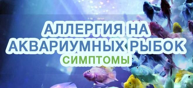 Аллергическая реакция на аквариумных рыбок и корм для них