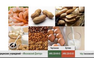 Пищевые аллергены – вкусные креветки ige