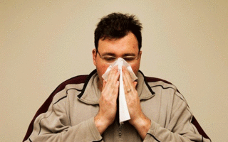 Наши домашние аллергены