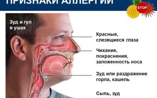 Заложенность носа при аллергии
